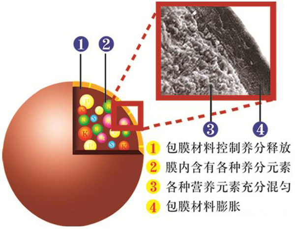 控釋肥究竟控了啥？